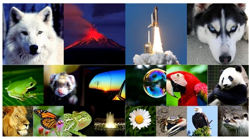 SRA generated image examples